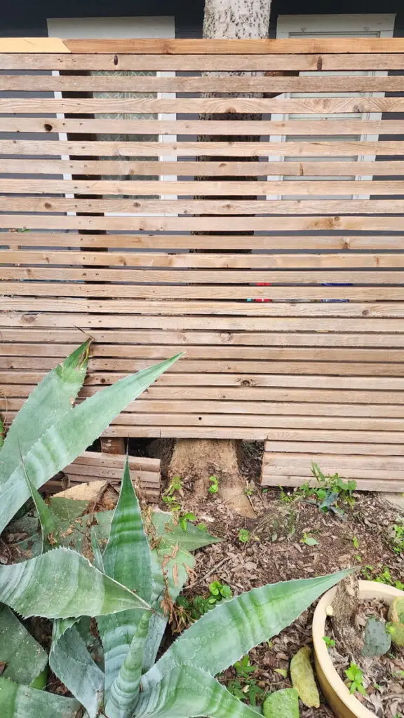 Fence Repair and Restoration in Austin — North Loop