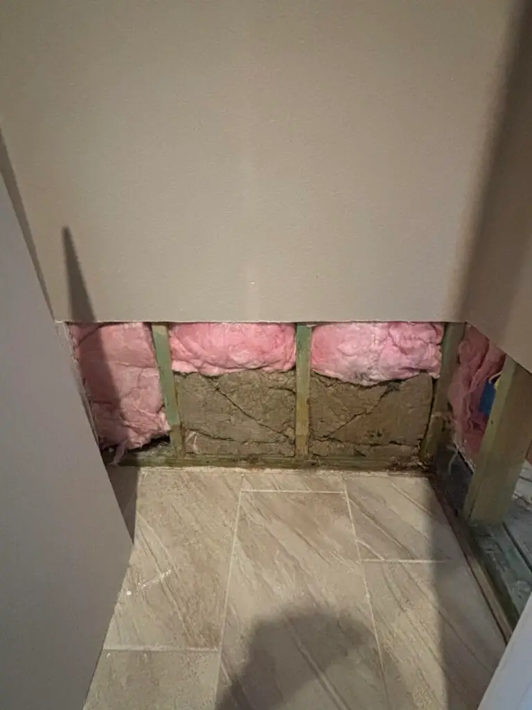 Drywall and Mold Repair Services in San Marcos — drywall and mold repair services