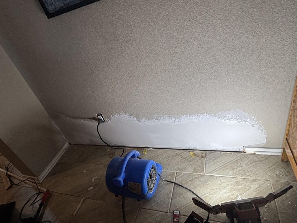 Drywall and Mold Repair Services in San Marcos — rot repair