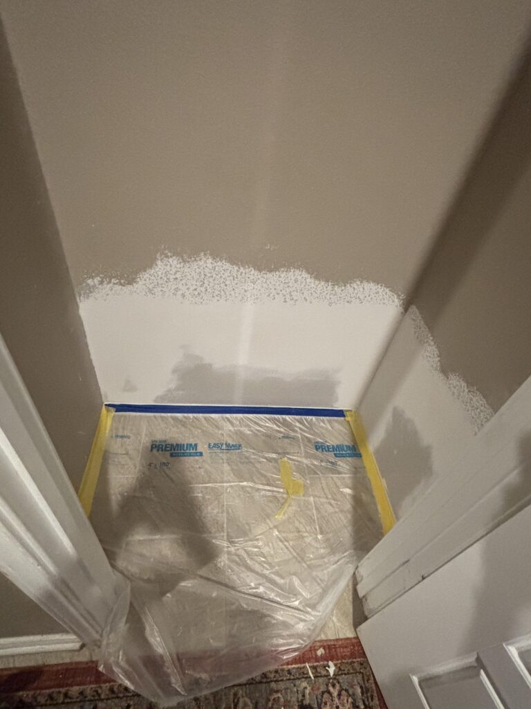 Drywall and Mold Repair Services in San Marcos — insulation replacement