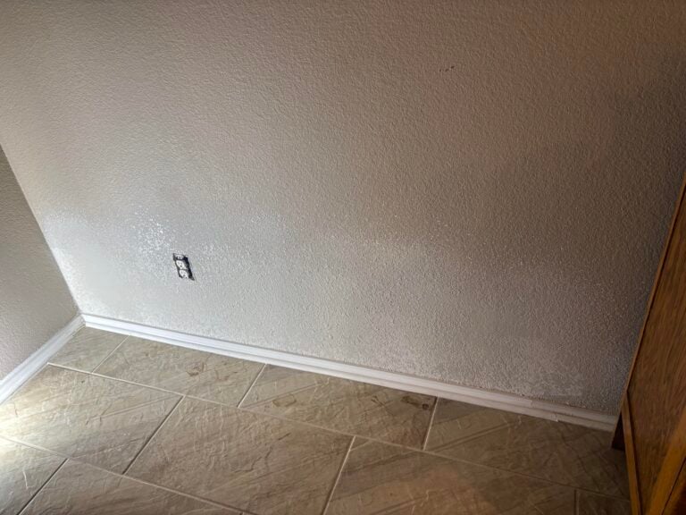 Drywall and Mold Repair Services in San Marcos — san marcos