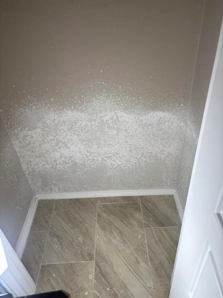 Drywall and Mold Repair Services in San Marcos — san marcos tx
