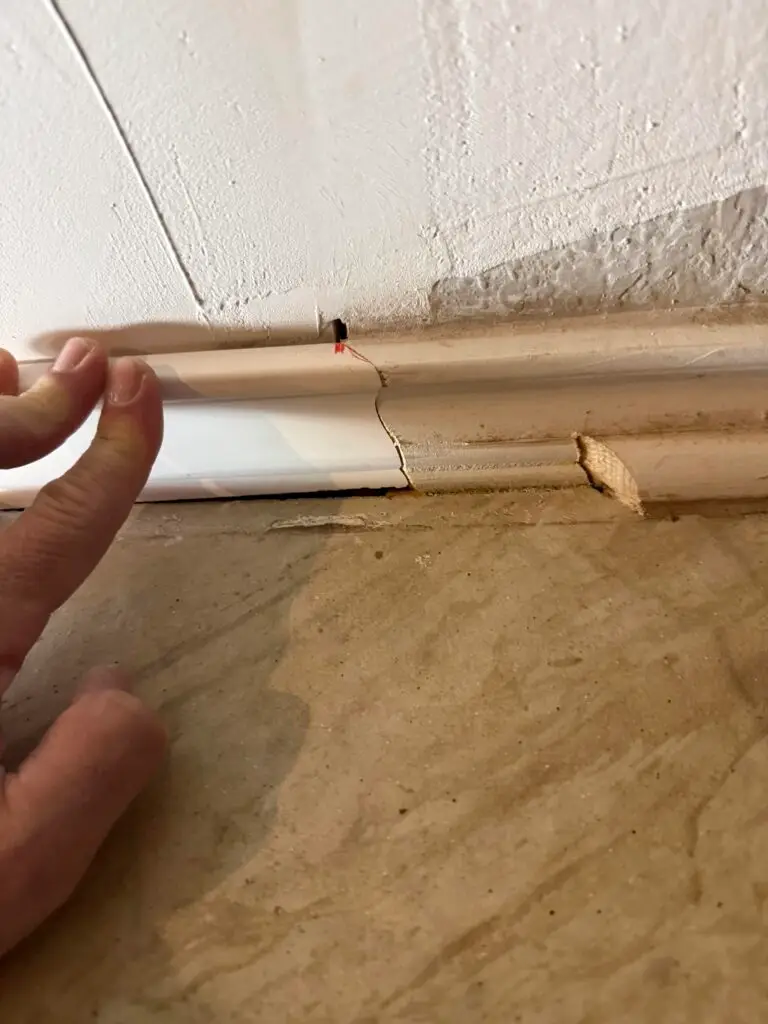 Drywall and Mold Repair Services in San Marcos — san marcos handyman